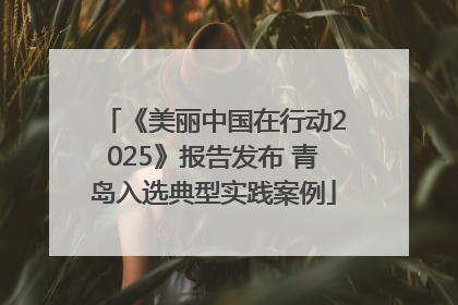 《美丽中国在行动2025》报告发布 青岛入选典型实践案例