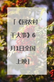 《回农村干大事》6月1日全国上映