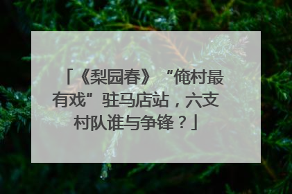《梨园春》“俺村最有戏”驻马店站，六支村队谁与争锋？