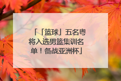 「篮球」五名粤将入选男篮集训名单！备战亚洲杯