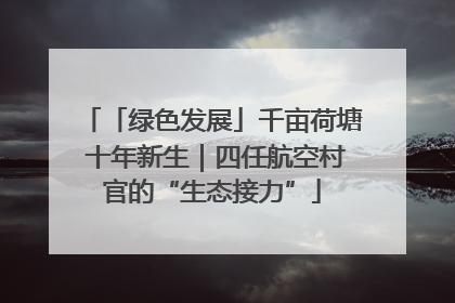 「绿色发展」千亩荷塘 十年新生｜四任航空村官的“生态接力”