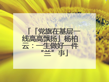 「党旗在基层一线高高飘扬」杨柏云：一生做好一件“兰”事