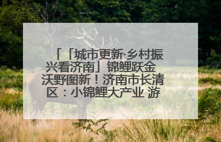 「城市更新·乡村振兴看济南」锦鲤跃金 沃野图新！济南市长清区：小锦鲤大产业 游出农旅新风景