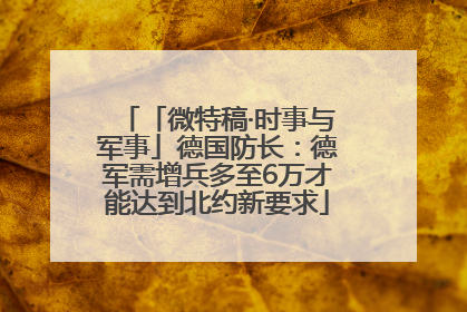 「微特稿·时事与军事」德国防长：德军需增兵多至6万才能达到北约新要求