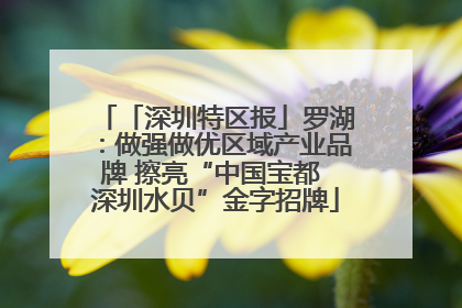 「深圳特区报」罗湖：做强做优区域产业品牌 擦亮“中国宝都 深圳水贝”金字招牌