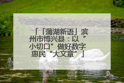 「蒲湖新语」滨州市博兴县：以“小切口”做好数字惠民“大文章”