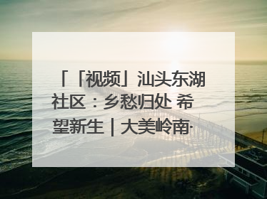 「视频」汕头东湖社区：乡愁归处 希望新生｜大美岭南·百村焕新记