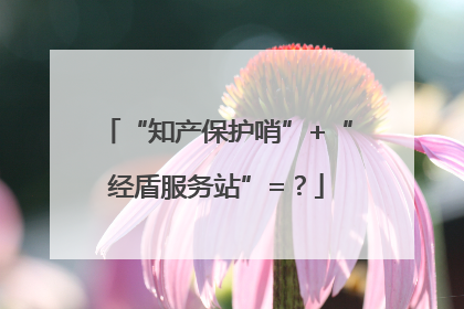 “知产保护哨”+“经盾服务站”=？