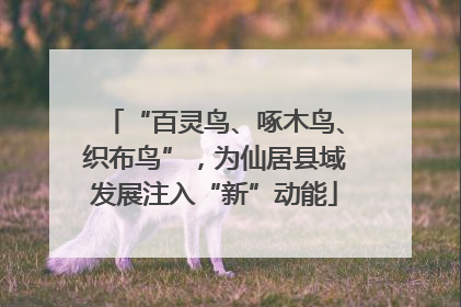“百灵鸟、啄木鸟、织布鸟”，为仙居县域发展注入“新”动能