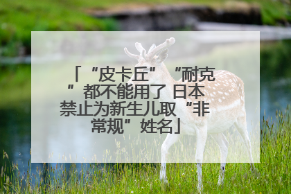 “皮卡丘”“耐克”都不能用了 日本禁止为新生儿取“非常规”姓名
