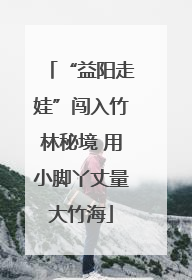 “益阳走娃”闯入竹林秘境 用小脚丫丈量大竹海