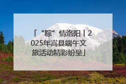 “粽”情洛阳丨2025年嵩县端午文旅活动精彩纷呈