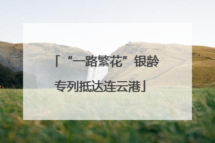 “一路繁花”银龄专列抵达连云港
