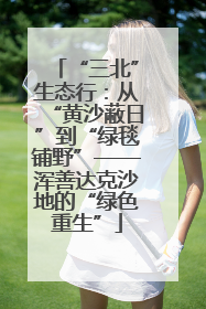 “三北”生态行：从“黄沙蔽日”到“绿毯铺野”——浑善达克沙地的“绿色重生”