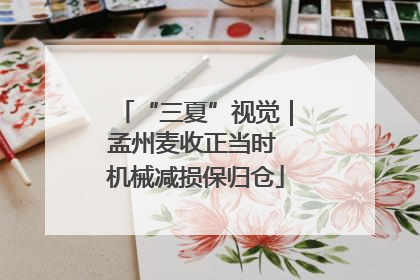 “三夏”视觉｜孟州麦收正当时 机械减损保归仓