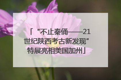 “不止秦俑——21世纪陕西考古新发现”特展亮相美国加州