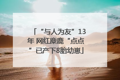 “与人为友”13年 网红麋鹿“点点”已产下8胎幼崽