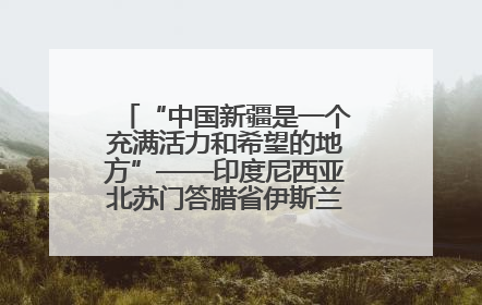 “中国新疆是一个充满活力和希望的地方”——印度尼西亚北苏门答腊省伊斯兰教代表团参访新疆