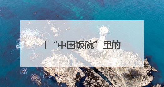 “中国饭碗”里的农机力量——“打赢这一战 底气从何来”系列观察之三