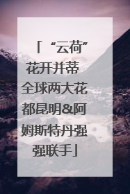“云荷”花开并蒂 全球两大花都昆明&阿姆斯特丹强强联手