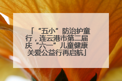 “五小”防治护童行，连云港市第二届庆“六一”儿童健康关爱公益行再启航
