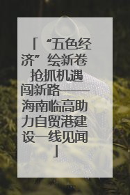 “五色经济”绘新卷 抢抓机遇闯新路——海南临高助力自贸港建设一线见闻