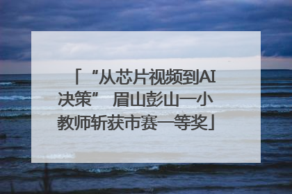 “从芯片视频到AI决策” 眉山彭山一小教师斩获市赛一等奖