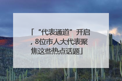 “代表通道”开启，8位市人大代表聚焦这些热点话题