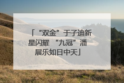 “双金”于子迪新星闪耀 “九冠”潘展乐如日中天