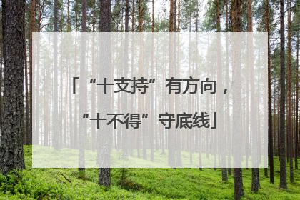 “十支持”有方向，“十不得”守底线