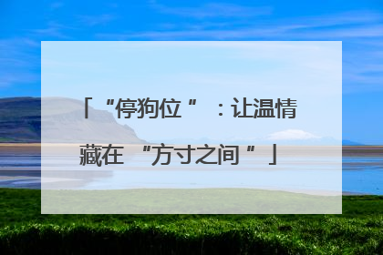 “停狗位 ”：让温情藏在 “方寸之间 ”