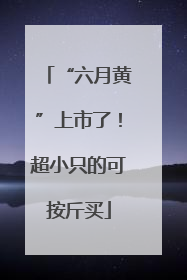 “六月黄”上市了！超小只的可按斤买