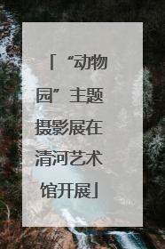“动物园”主题摄影展在清河艺术馆开展