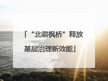 “北疆枫桥”释放基层治理新效能