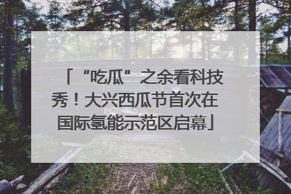 “吃瓜”之余看科技秀！大兴西瓜节首次在国际氢能示范区启幕
