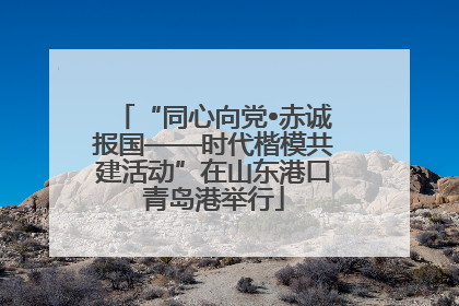 “同心向党•赤诚报国——时代楷模共建活动”在山东港口青岛港举行