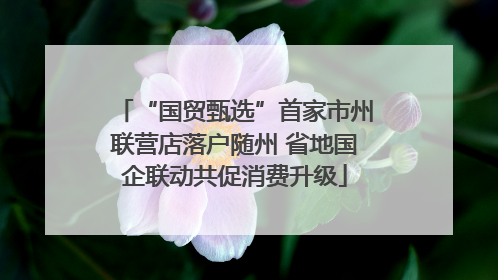 “国贸甄选”首家市州联营店落户随州 省地国企联动共促消费升级