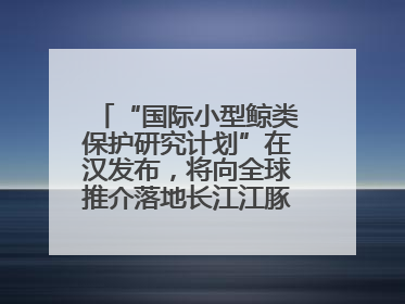 “国际小型鲸类保护研究计划”在汉发布，将向全球推介落地长江江豚保护经验