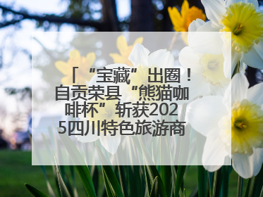 “宝藏”出圈！自贡荣县“熊猫咖啡杯”斩获2025四川特色旅游商品大赛铜奖