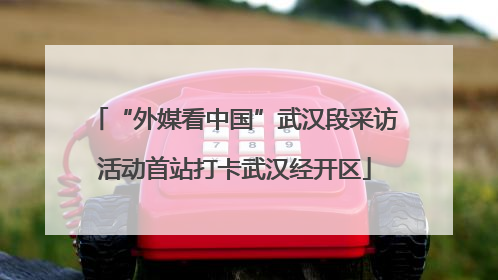 “外媒看中国”武汉段采访活动首站打卡武汉经开区