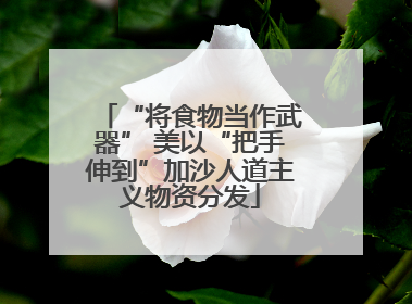“将食物当作武器” 美以“把手伸到”加沙人道主义物资分发