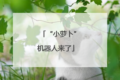 “小萝卜”机器人来了