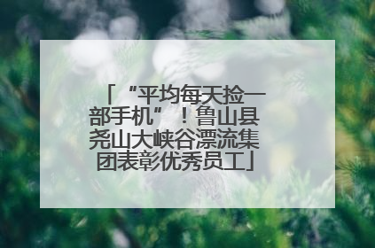 “平均每天捡一部手机”！鲁山县尧山大峡谷漂流集团表彰优秀员工