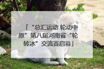 “总汇运动 轮动中原”第八届河南省“轮转冰”交流赛启幕