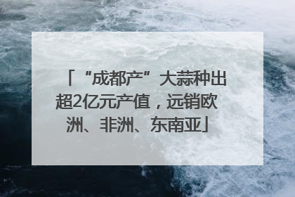 “成都产”大蒜种出超2亿元产值，远销欧洲、非洲、东南亚