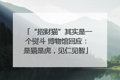 “招财猫”其实是一个熨斗 博物馆回应：是猫是虎，见仁见智