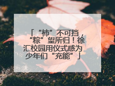 “柿”不可挡，“粽”望所归！徐汇校园用仪式感为少年们“充能”