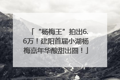 “杨梅王”拍出6.6万！建阳首届小湖杨梅嘉年华酸甜出圈！