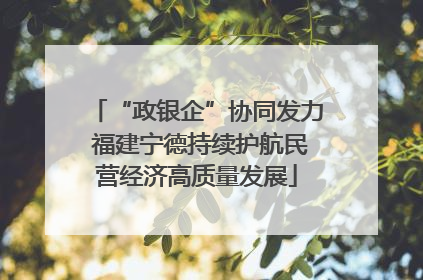 “政银企”协同发力 福建宁德持续护航民营经济高质量发展