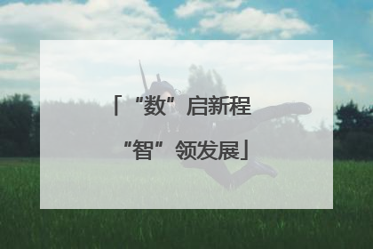 “数”启新程 “智”领发展